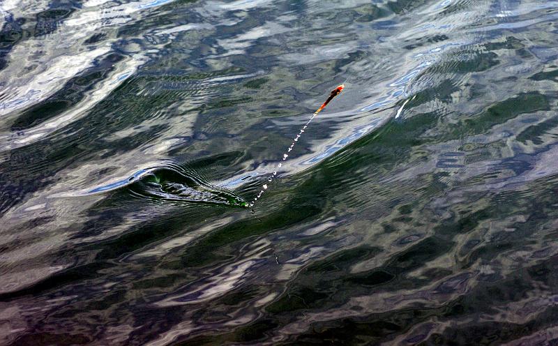 Peche a la mouche ab4.JPG